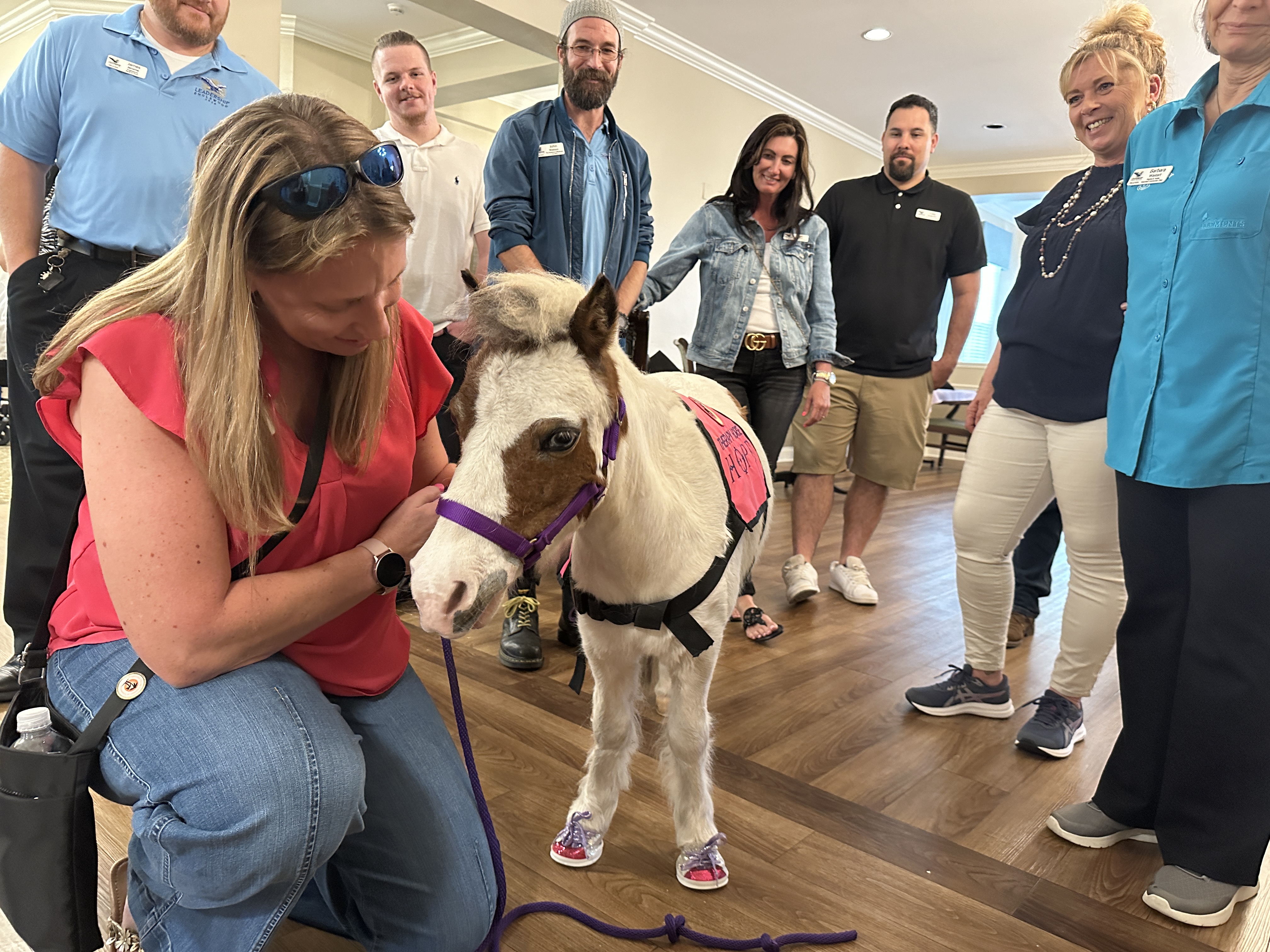 Hope the Miniature Therapy Horse visits with Leadership Englewood Members
