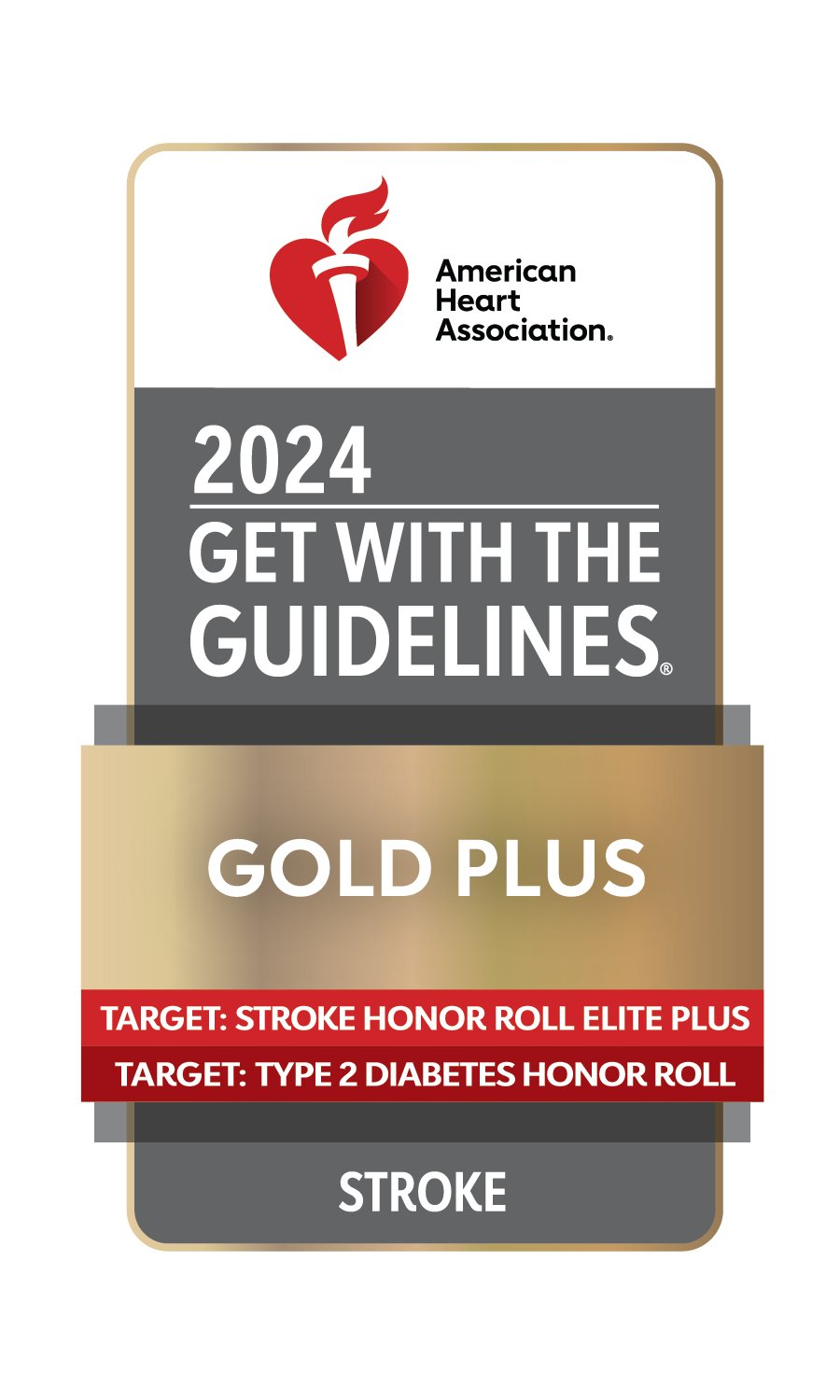 2024 Get With the Guidelines Gold Pluse Stroke award logo.