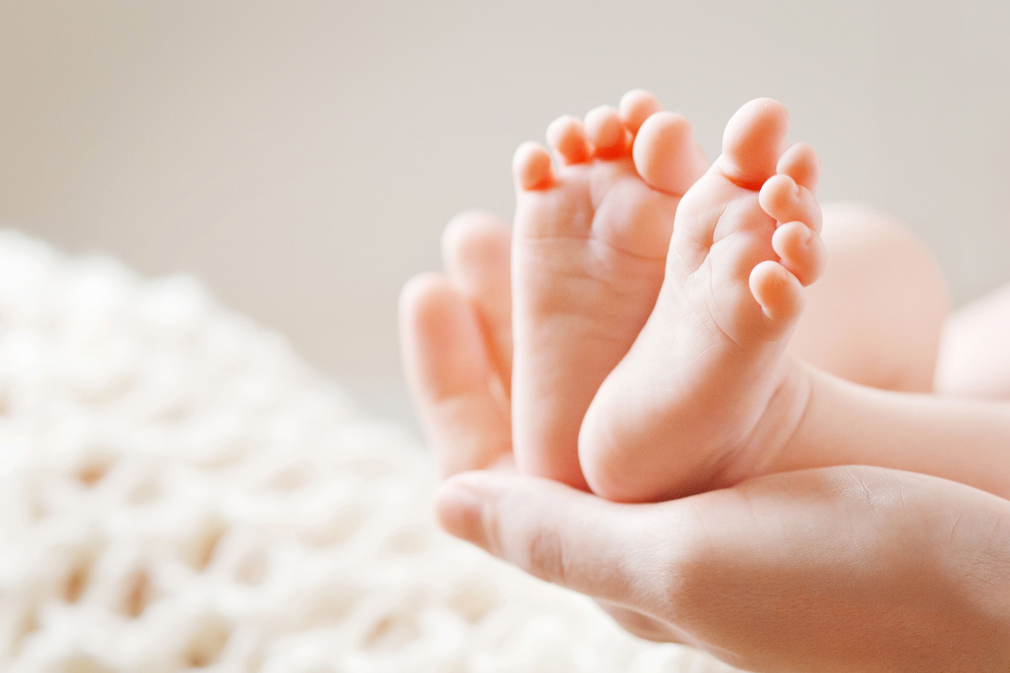 Baby feet in adult hand