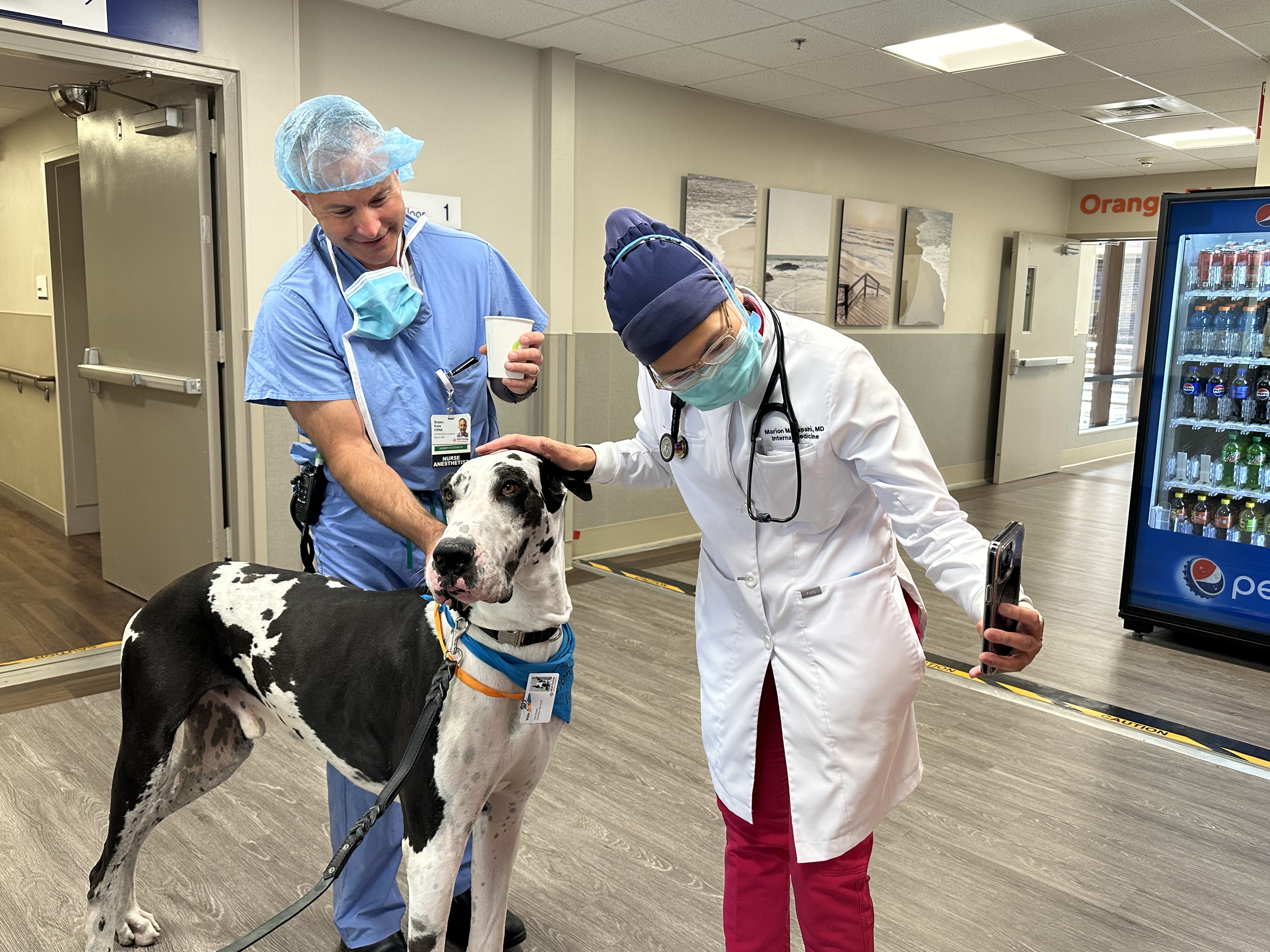 Nurse Anesthetists Shawn Kase and Dr. Marion Capahi with therapy dog, Vido