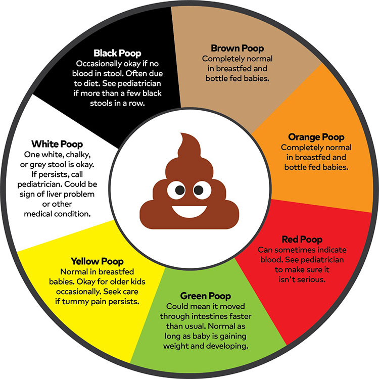 Circle chart with seven differently colored sections explaining the different in colors for baby poop.