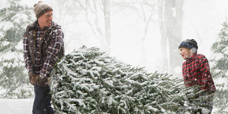 A light-skinned father and son are both carrying a holiday tree through a snowy scene. 