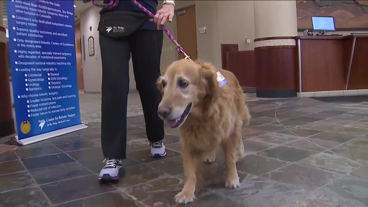 Colorado woman's dog brings joy to patients at Sky Ridge Medical Center